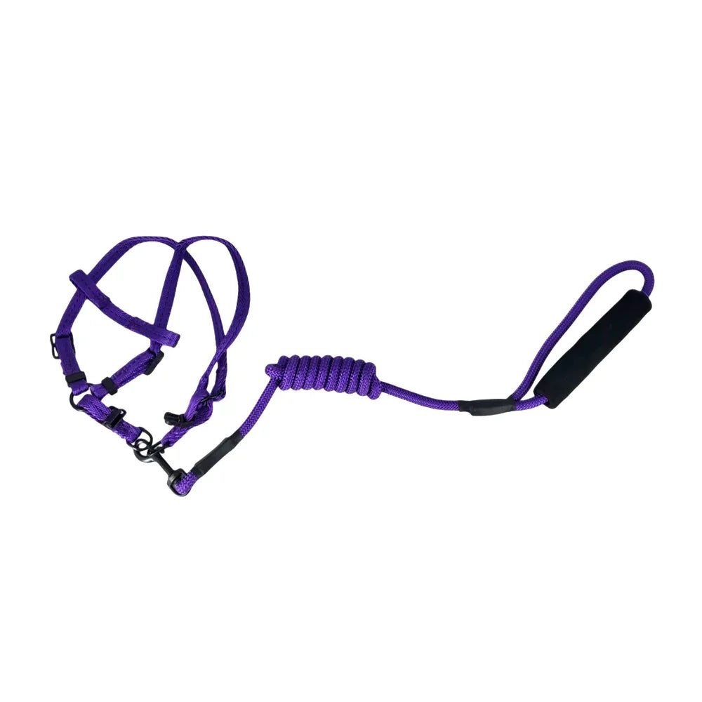 [GD] Adjustable Small Pet Leash and Harness Set, Variety of Colors / High Quality Pet Products / 18-0049