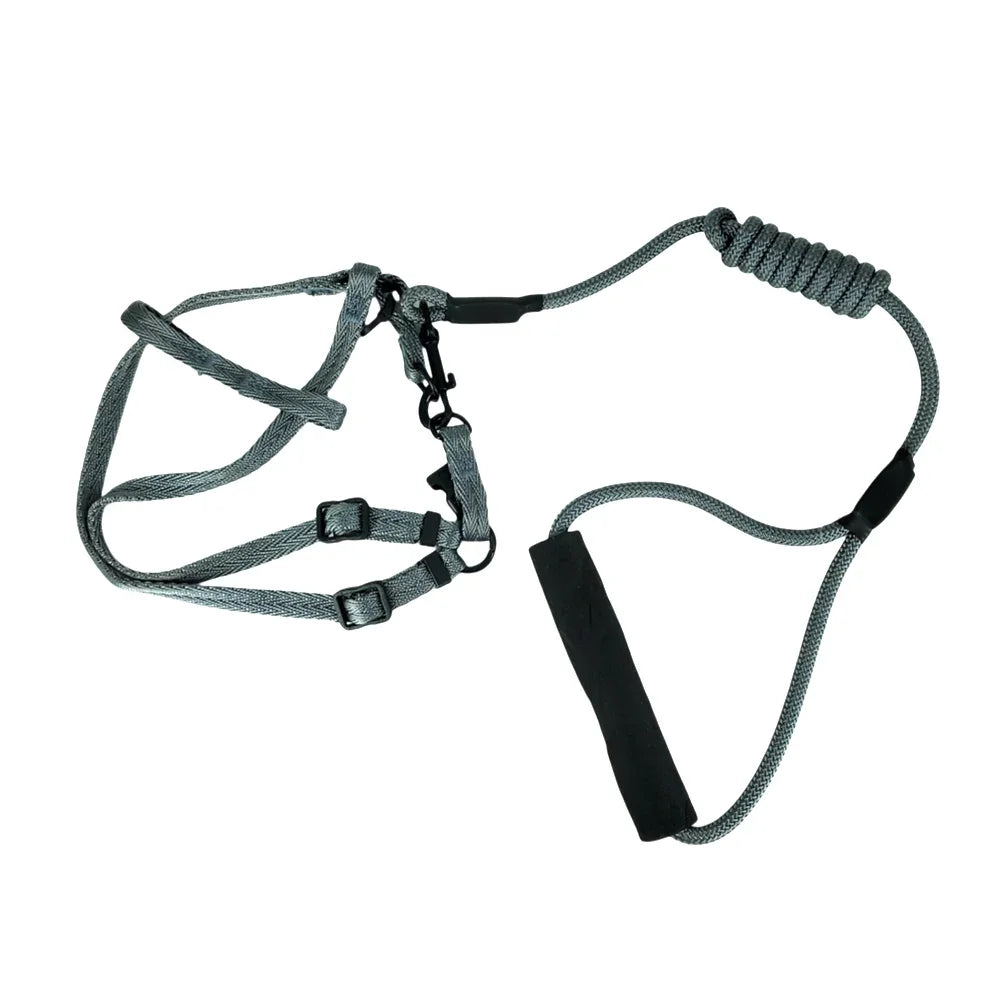 [GD] Adjustable Small Pet Leash and Harness Set, Variety of Colors / High Quality Pet Products / 18-0049