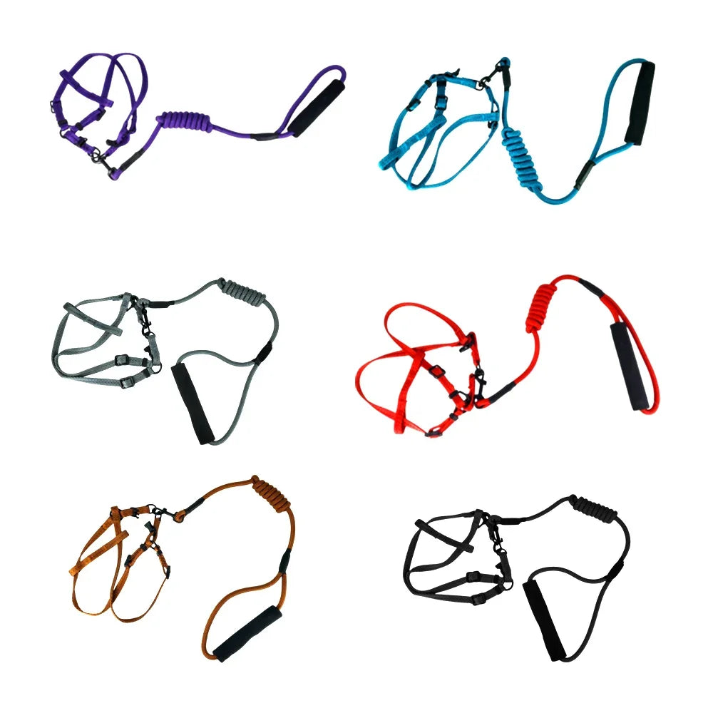 [GD] Adjustable Small Pet Leash and Harness Set, Variety of Colors / High Quality Pet Products / 18-0049