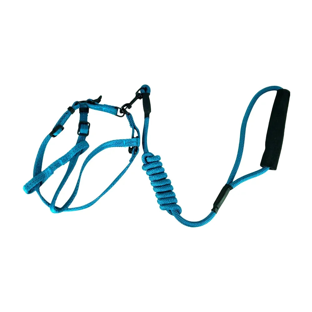 [GD] Adjustable Small Pet Leash and Harness Set, Variety of Colors / High Quality Pet Products / 18-0049