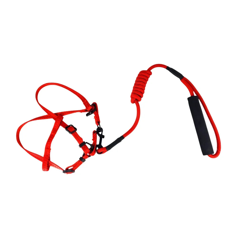 [GD] Adjustable Small Pet Leash and Harness Set, Variety of Colors / High Quality Pet Products / 18-0049