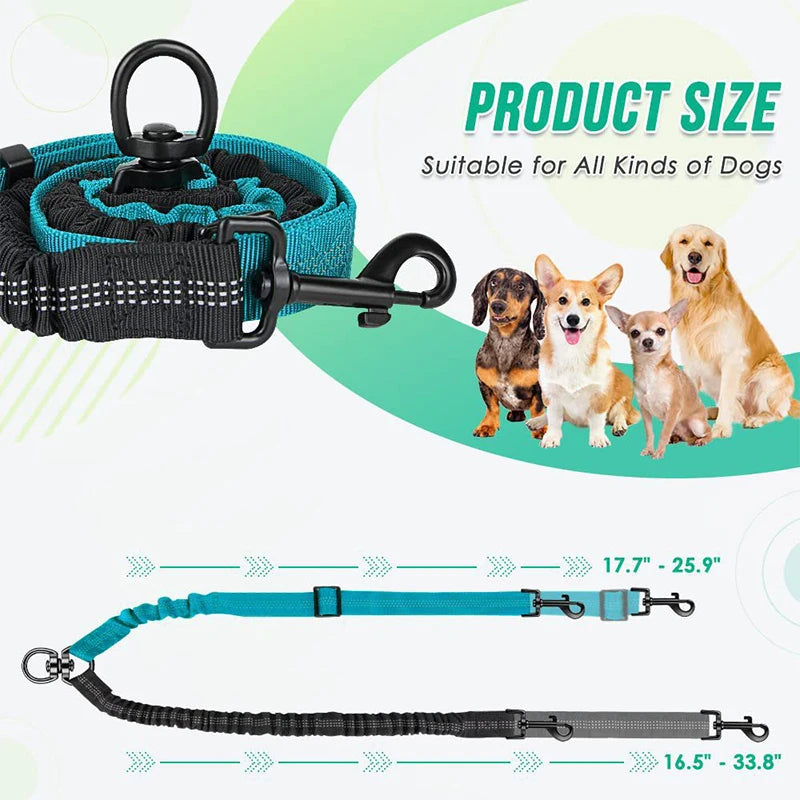 Hot Selling Double-Headed Automatic Retractable Nylon Reflective Pet Traction Leash for Walking 2 Dogs Animal Polyester