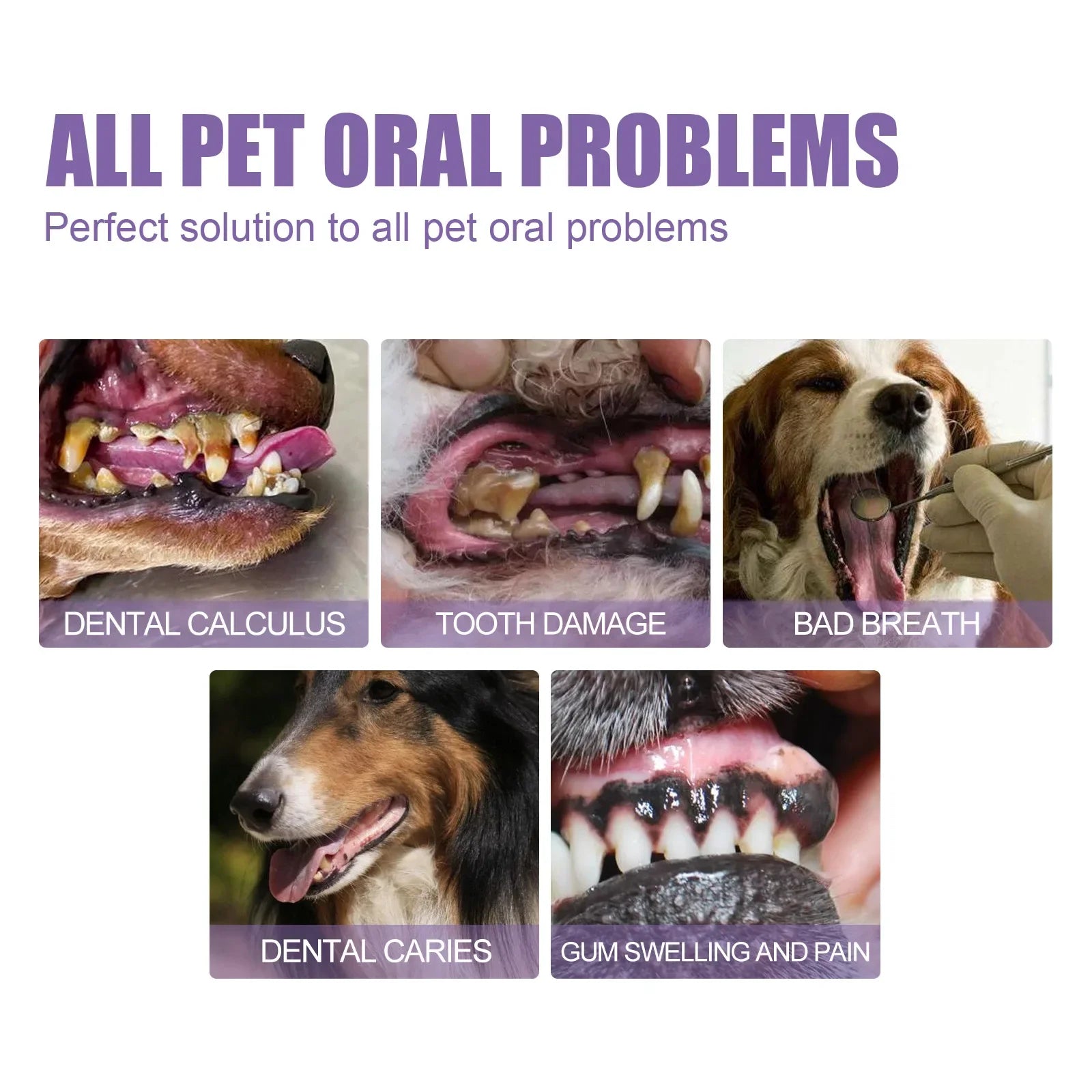 Pet Oral Care Gel for Dogs Cats Deep Cleaning Teeth Stain Remover Fresh Breath Dental Hygiene Plaque Control Water Additive