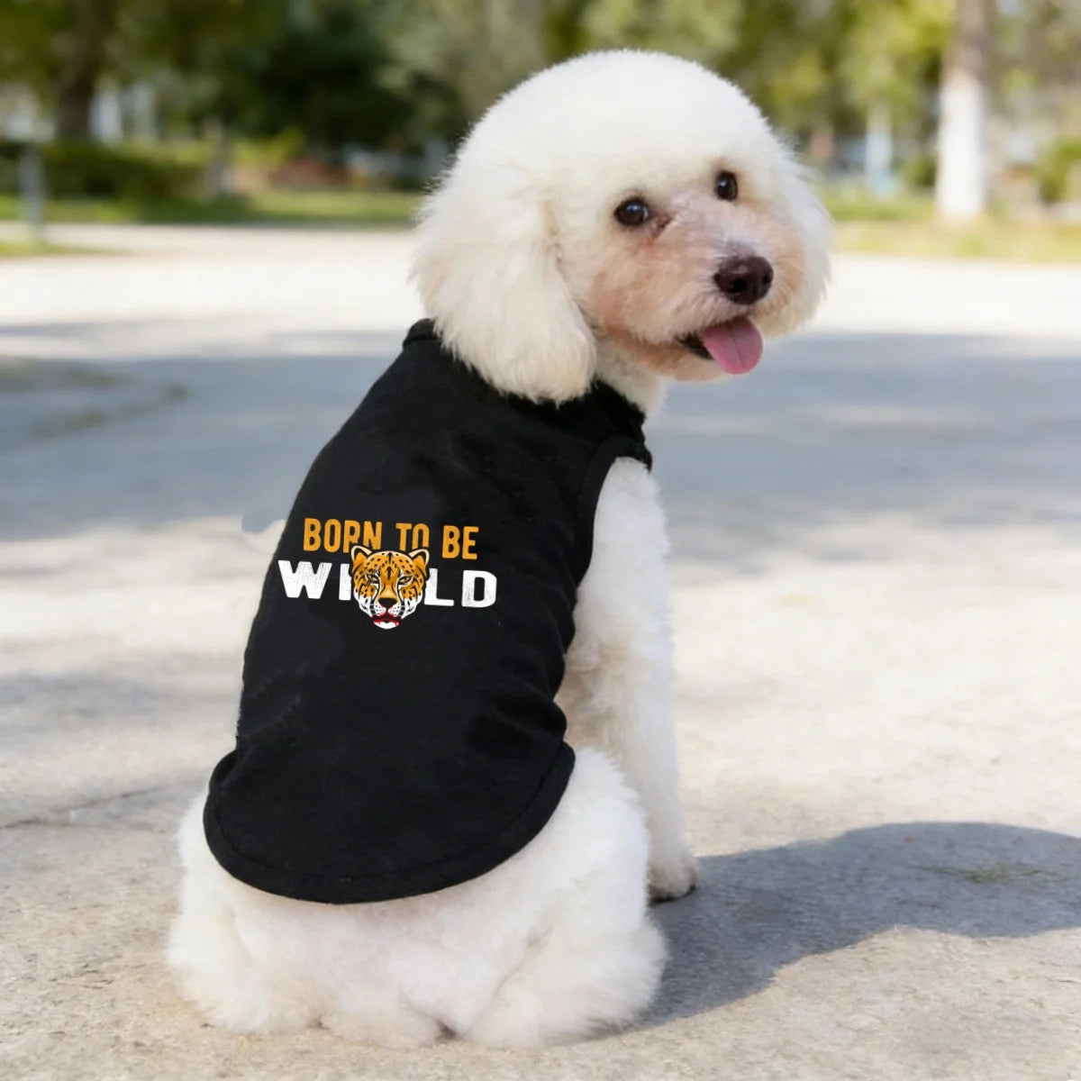 1pc  Fashion Printed Pet T-shirt, Made of Polyester Fiber Material, Suitable for Indoor and Outdoor Leisure, Entertainment