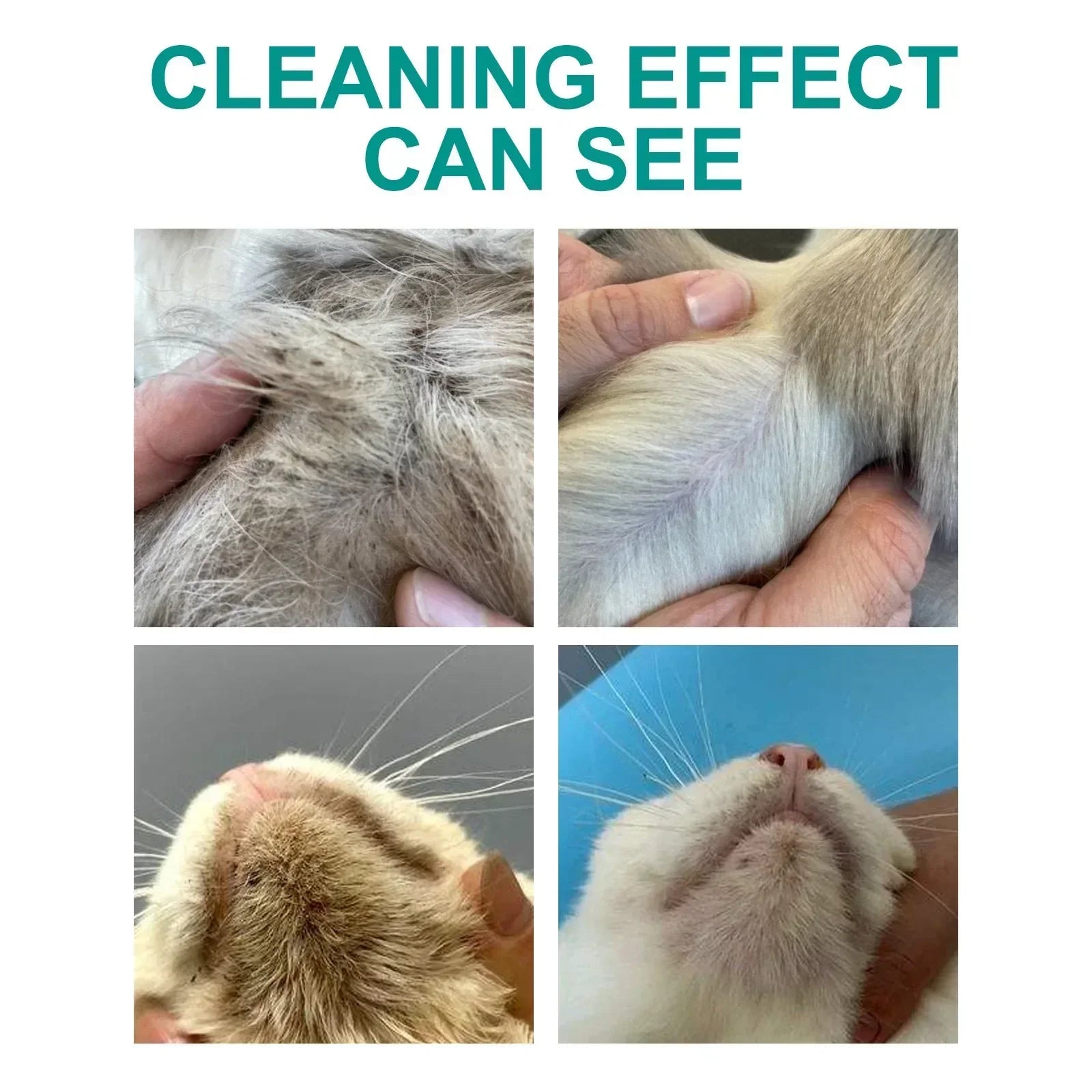 Hygienic Pet Disposable Wash Gloves Hand Free Instant Deodorizing Professional Cleaning Dry Bathing Cat Dog High Quality Pet