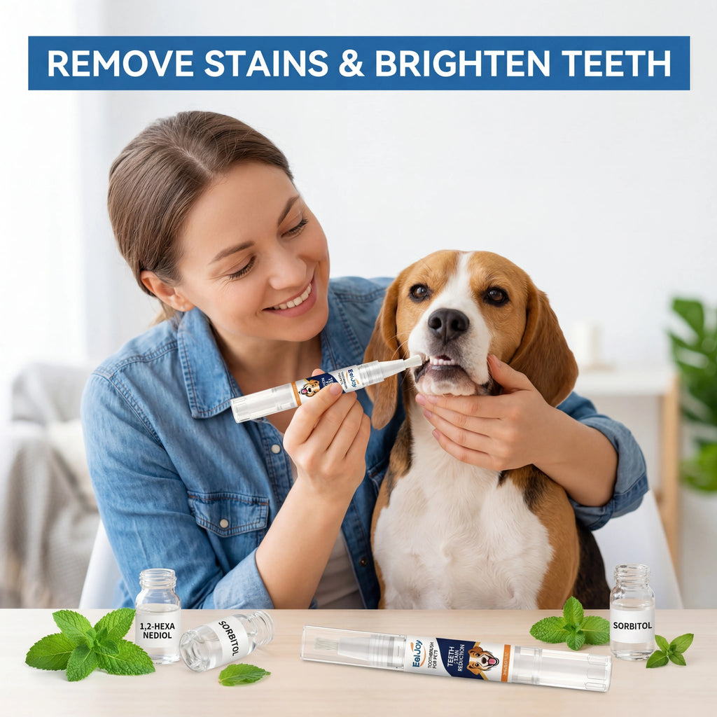 2pcs Pet Teeth Cleaning Pen for Dogs Cats Plaque Remover Fresh Breath Dental Care Kit Oral Hygiene Portable Brush Easy to Use